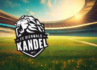 Zwei Neuzugänge für FC Bienwald Kandel