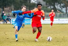 16.01.2025: SC Hauenstein – TSG Pfeddersheim