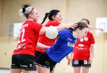 22.02.2025: TV Hauenstein – HSG Lingenfeld-Schwegenheim