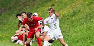 Fitzthum von Lug nach Offenbach