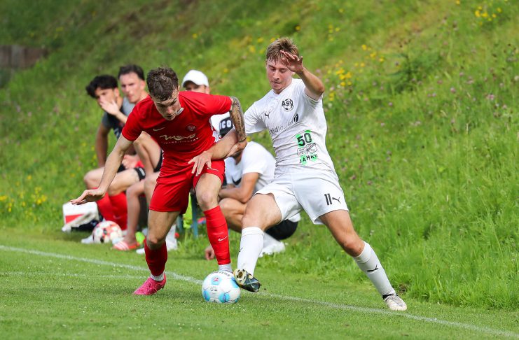 Fitzthum von Lug nach Offenbach