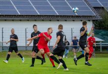 Kreispokal Südpfalz: TSV Landau ringt SG Völkersweiler/Waldhambach nieder