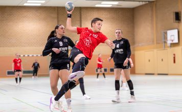 17.01.26: TV Hauenstein – TG Osthofen