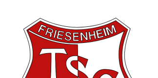 TSG Friesenheim: Niklas Weißbrod wird neuer Trainer der Eulenfrauen Wappen TSG Friesenheim