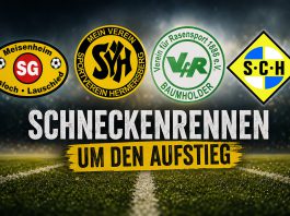 Schneckenrennen um den Aufstieg: Vier Teams, viele Fragezeichen