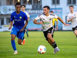Transfersommer in der Pfalz: Alle bekannten Wechsel der Ober- und Verbandsligisten