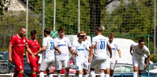 SVH lässt nichts anbrennen: Hochstellerhof siegt 4:0 Torjubel SV Hochstellerhof
