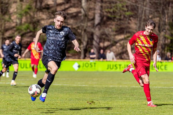 DMV BMW 318ti Cup, DMV Goodyear Racing Days Hockenheim