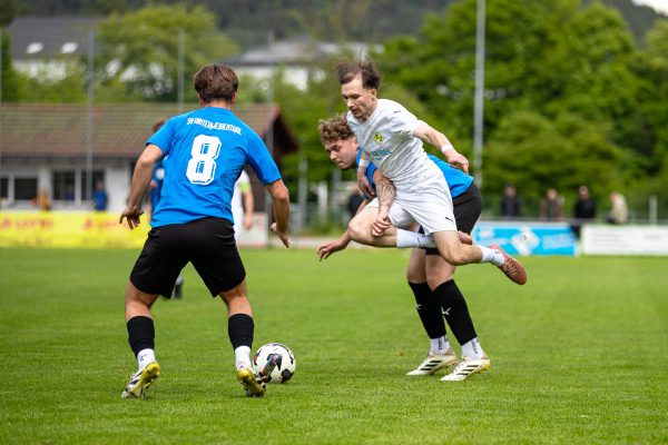 SC Hauenstein - SV Hinterweidenthal