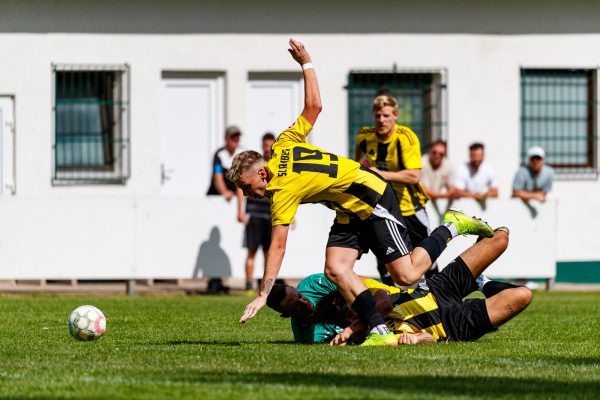 TSV Wilgartswiesen - SC Ramberg